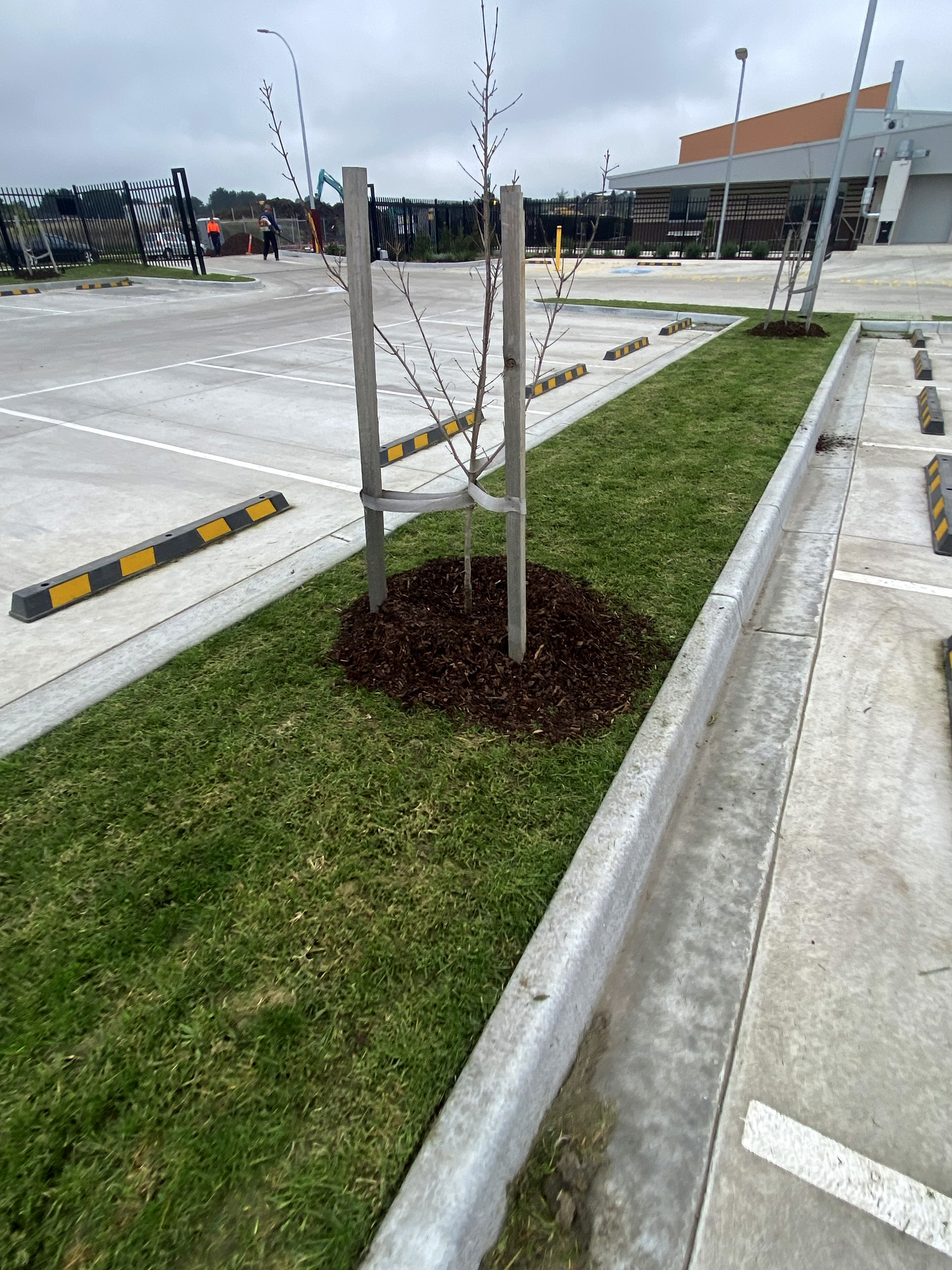 Car park lawns
