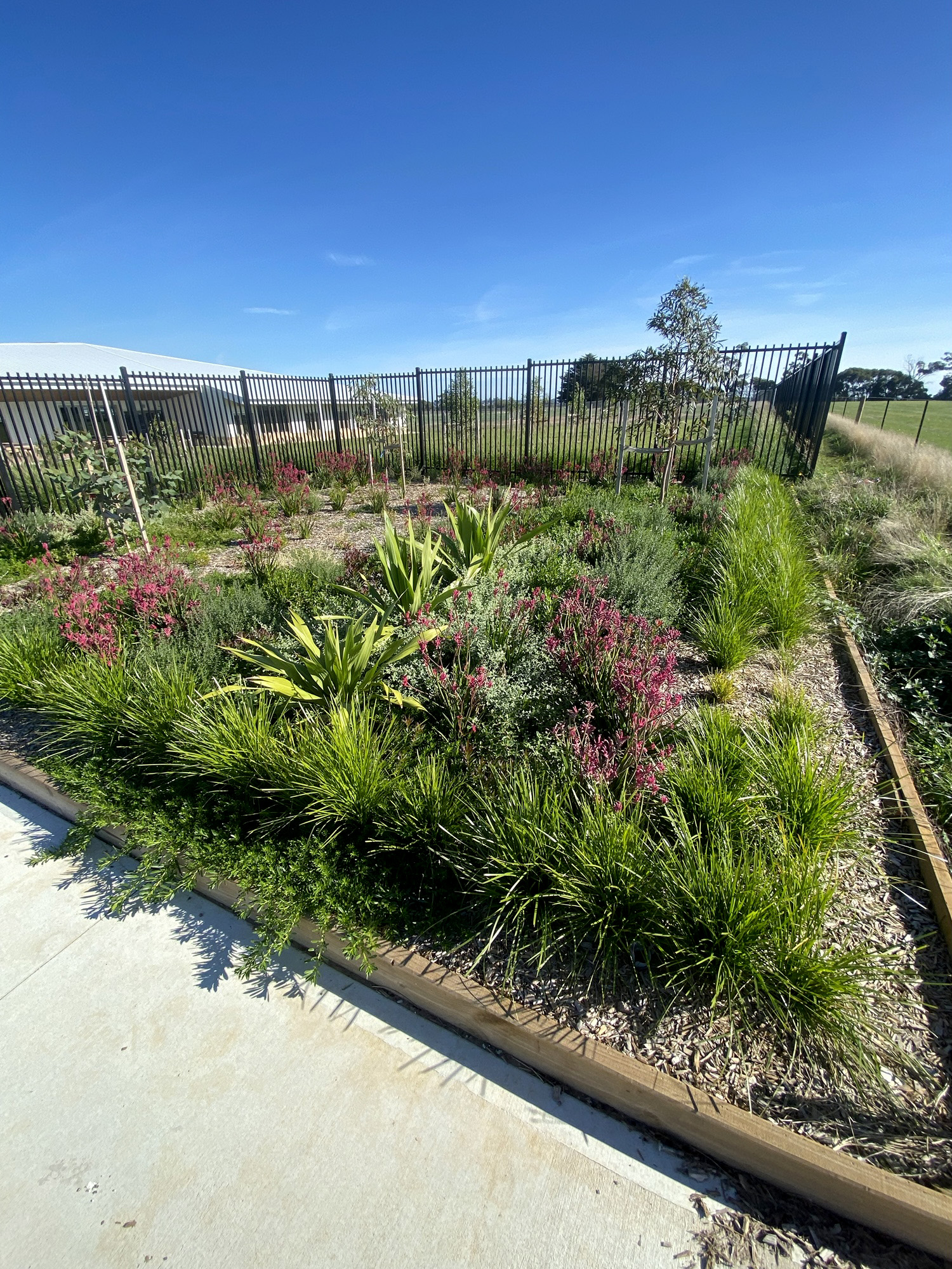 Garden beds