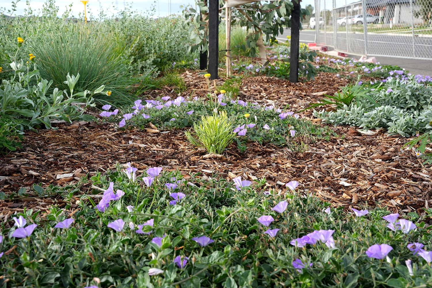 Garden beds