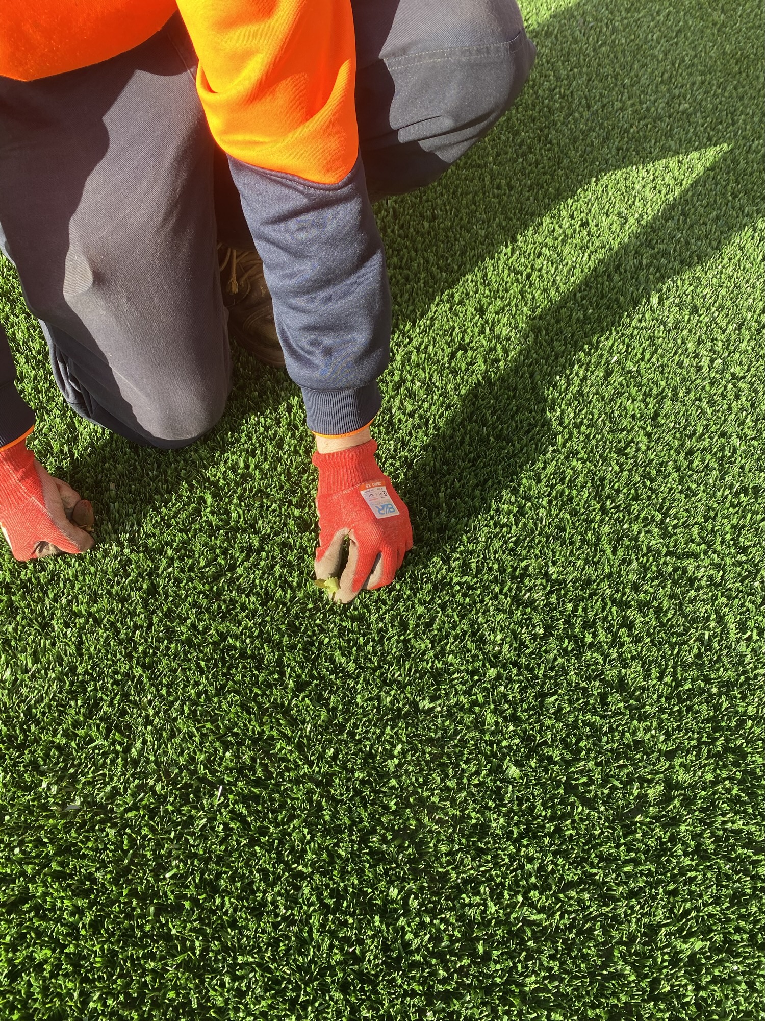 Lawn maintenance